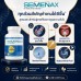 SEMENAX 120 Capsules (เพิ่มน้ำ เพิ่มรอบ เพิ่มขนาด เพิ่มสมรรถภาพ)