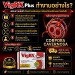 อาหารเสริมท่านชาย VigRX Plus (Original Formula) เพิ่มขนาดชาย เพิ่มแข็งตัว ทนนาน (สูตรของแท้อเมริกา)