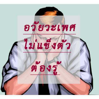 วิธีทำให้อวัยวะเพศแข็งตัว