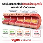เพิ่มแรงขับทางเพศด้วย ไนตริกออกไซด์ VigRx Nitric Oxide