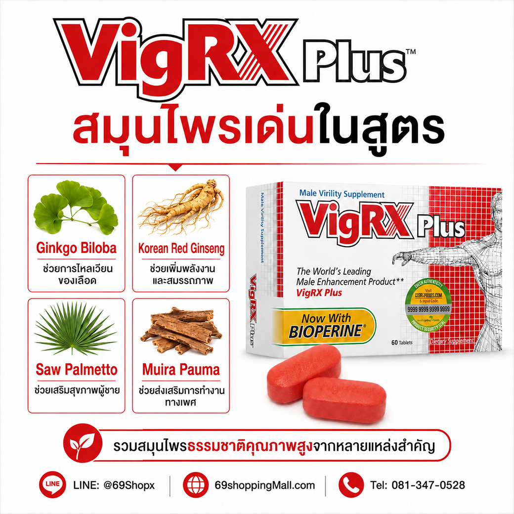 VigRX Plus สมุนไพรเด่นในสูตร Ginkgo Biloba Korean Red Ginseng Saw Palmetto และ Muira Puama สำหรับผู้ชาย