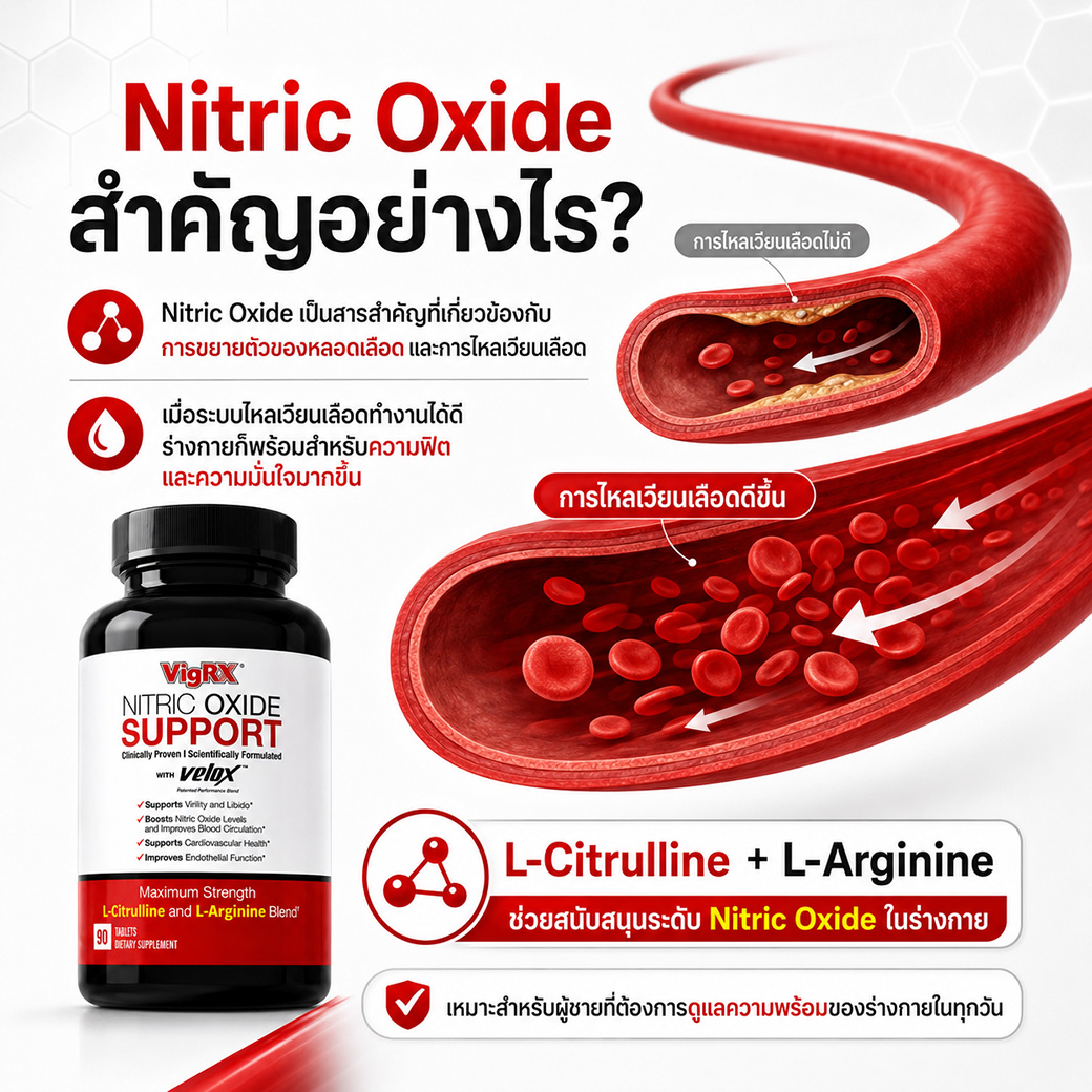 VigRX Nitric Oxide Support ตัวช่วยดูแลความมั่นใจและการไหลเวียนเลือดของผู้ชาย