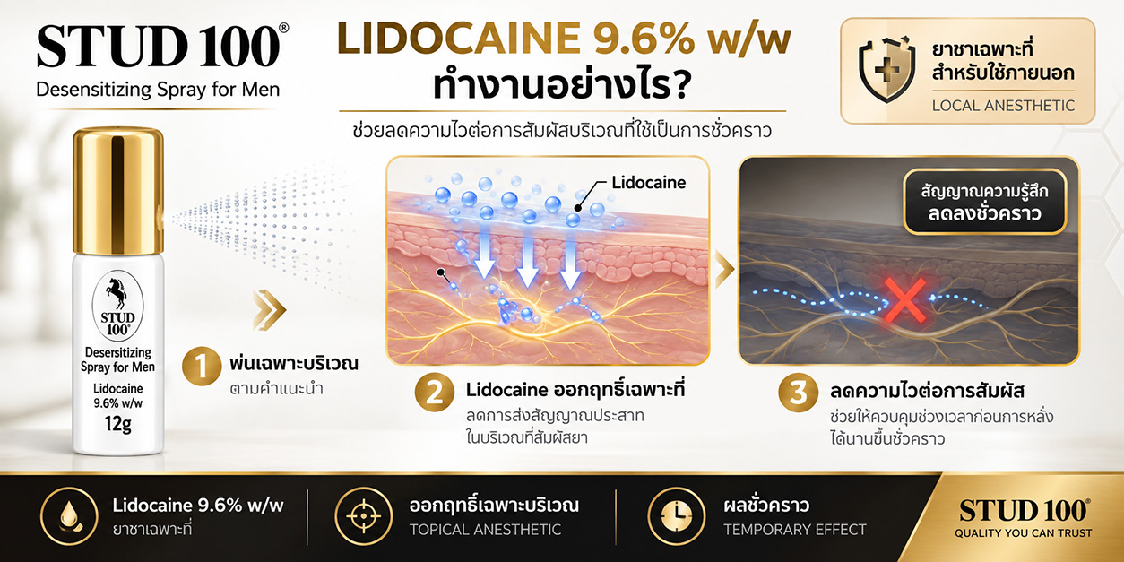 Lidocaine 9.6% ใน STUD 100 ทำงานอย่างไร อินโฟกราฟิกอธิบายการลดความไวชั่วคราว