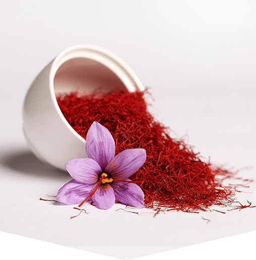 Saffron หญ้าฝรั่น