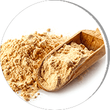 Pituitary (Anterior) Powder