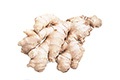 Ginger Root ส่วนผสมใน Provestra