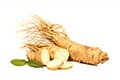 Ginseng ส่วนผสมใน Provestra