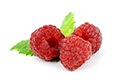 Red Raspberry ส่วนผสมใน Provestra