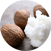 Shea Butter ส่วนผสมเด่นใน VigRX Oil