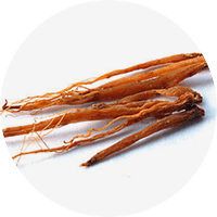 Korean Red Ginseng ส่วนผสมเด่นใน VigRX Oil