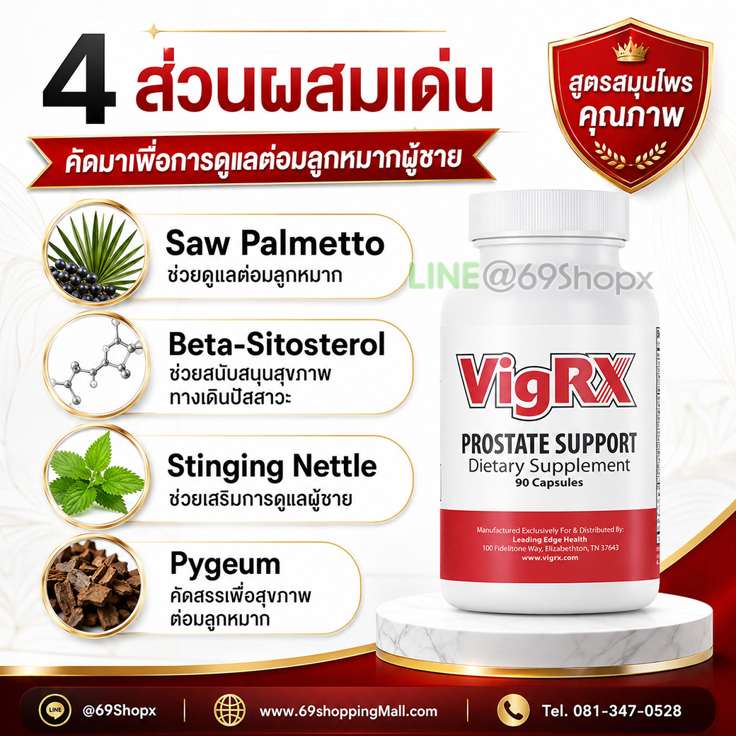 ส่วนผสมหลัก 4 ชนิดของ VigRX Prostate Support ได้แก่ Saw Palmetto, Beta-Sitosterol, Stinging Nettle และ Pygeum